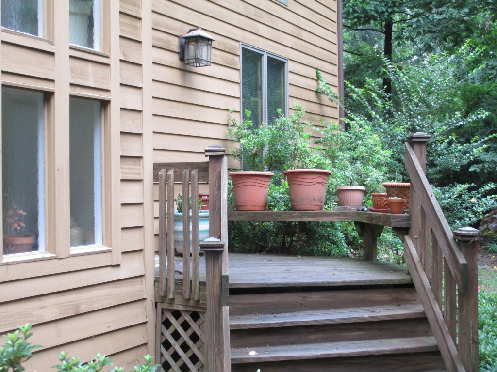 The pots containing the Tellus's first crop outside the entrance to the Palace of State.