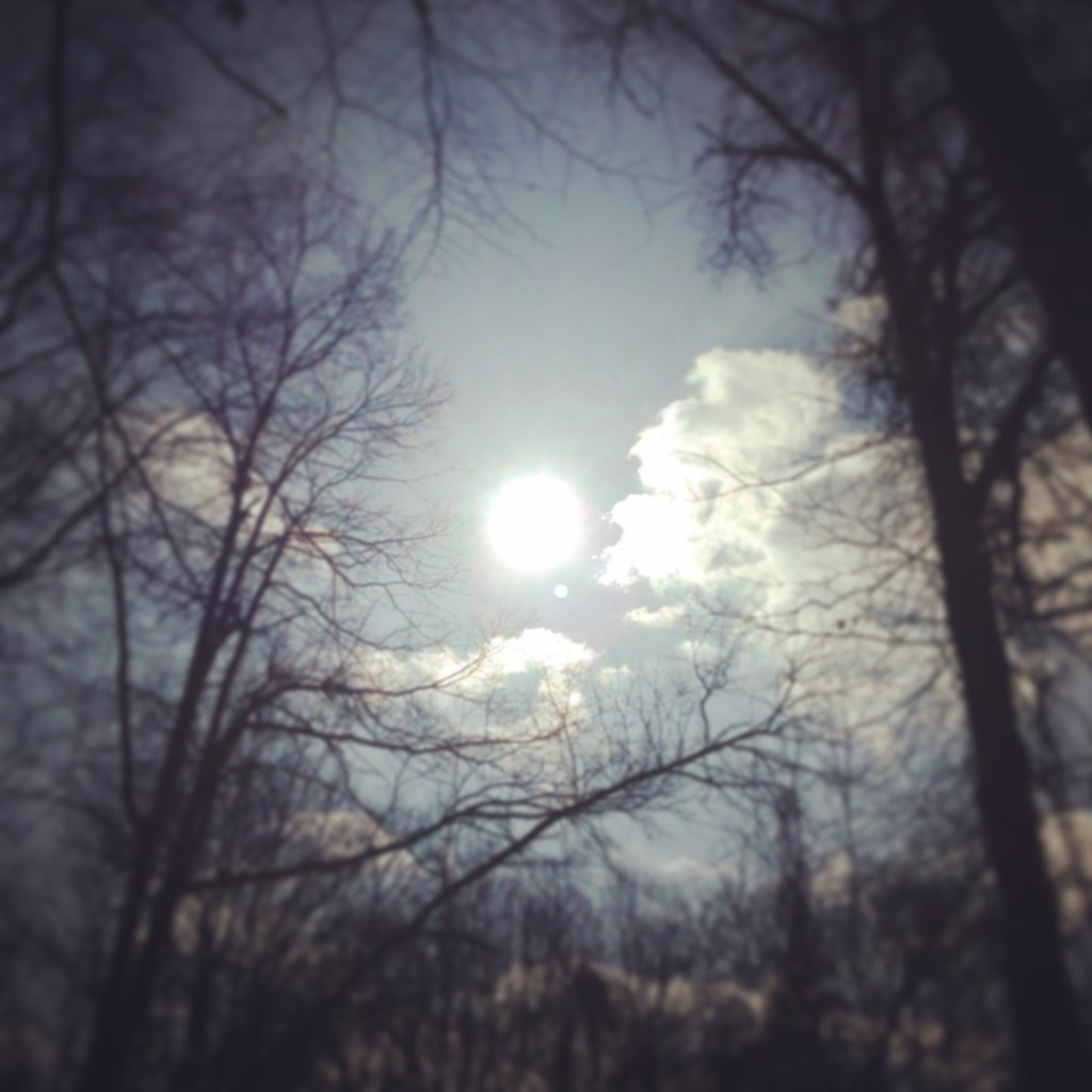 "May all our work be fortunate and may there always be sunshine – if not in our world, then in our hearts and minds."  — Sôgmô Gaius Sörgel Publicola