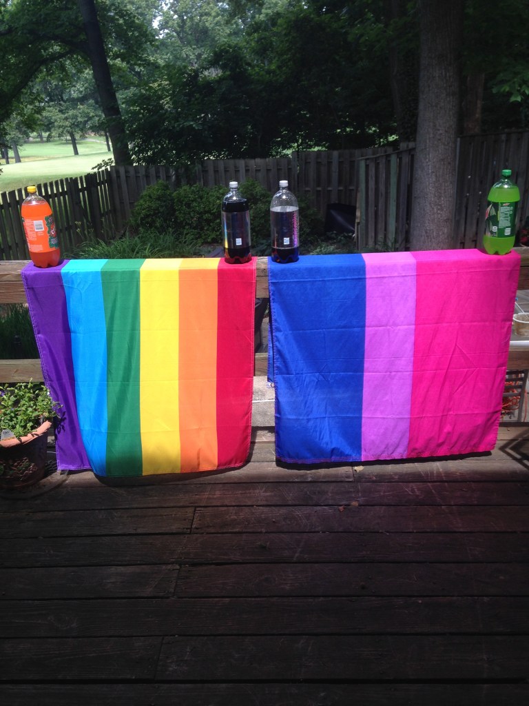 LGBT Pride 2014 - flags