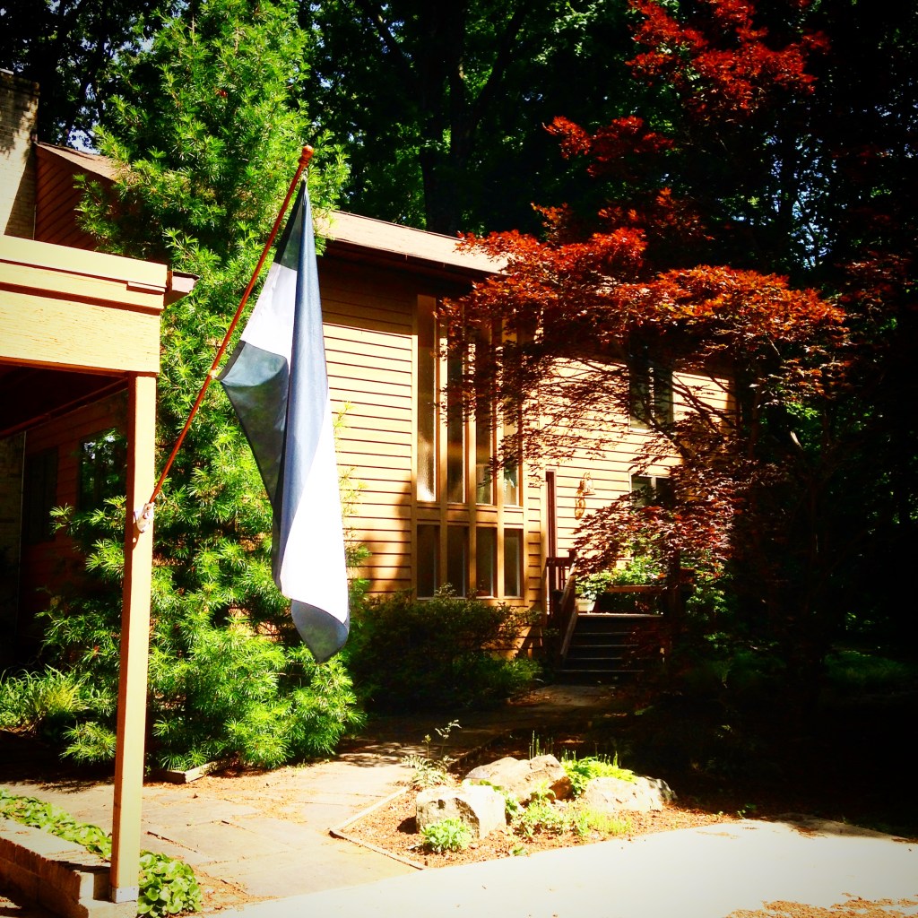 The Sandum Flag outside le Palaso d'Etato, or the Palace of State.
